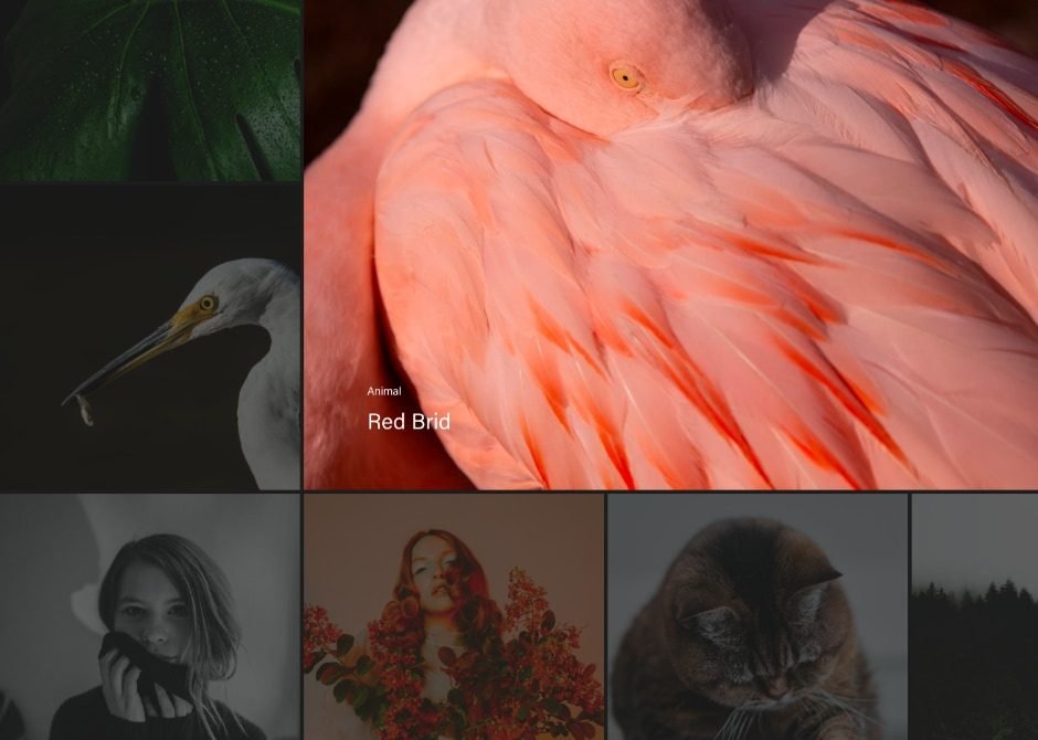 Landing landing s4 img2 1