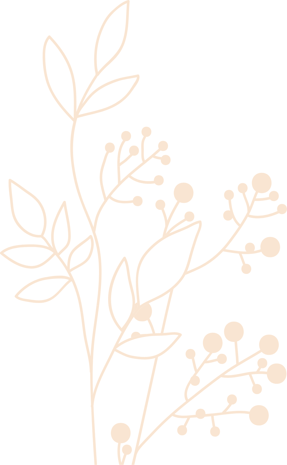 20 Spa & Beauty m20 leaf6