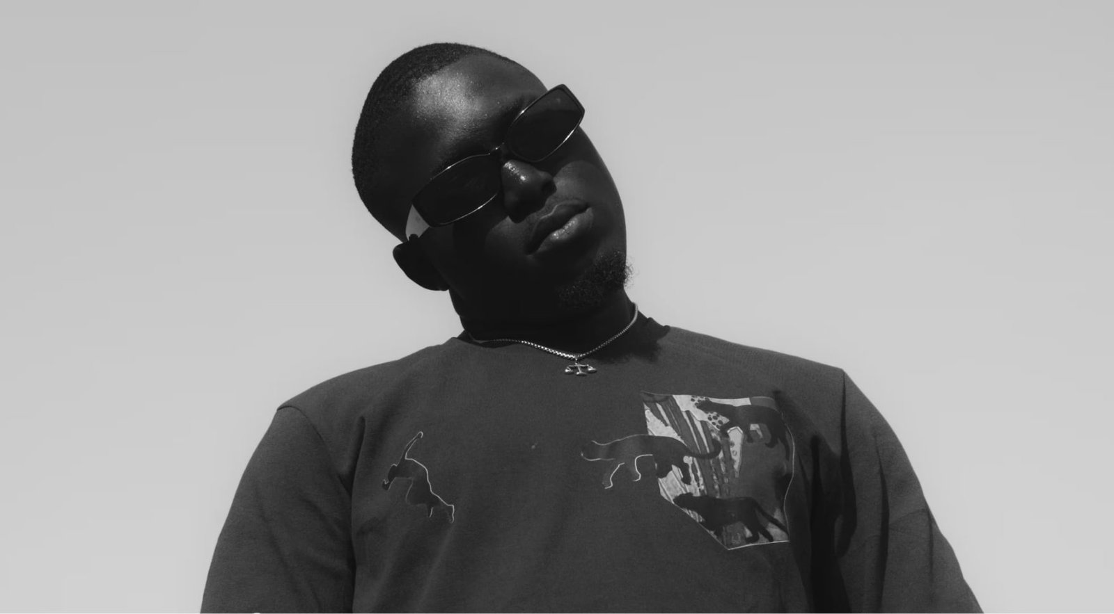 Aliquam erat volutpat phasellus eget single post 5  Blog single post 5